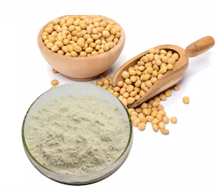 Soybean extract