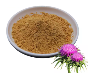 Milk Thistle Extract