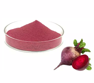 Beet Root Extract powder