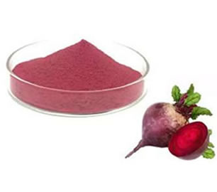 Food Ingredients