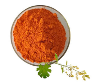 Feed Ingredients