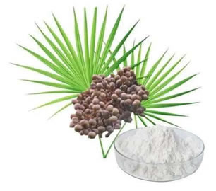 Saw Palmetto Extract