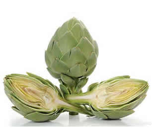 Artichoke Extract