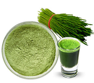 Wheat Grass Powder