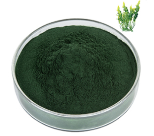 Spirulina Powder