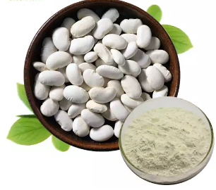 White Kidney Bean Extract