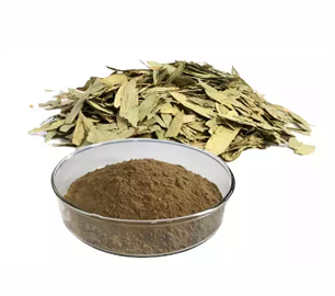 Senna Leaf Extract 