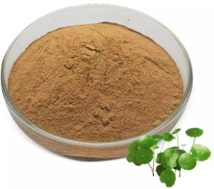 Centella asiatica extract