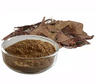 Epimedium Extract